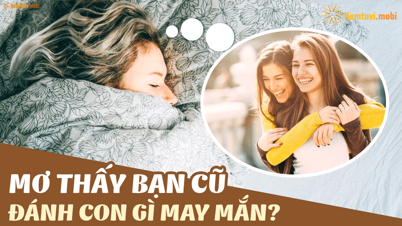 Nằm mơ thấy bạn cũ đánh số mấy chuẩn xác nhất?